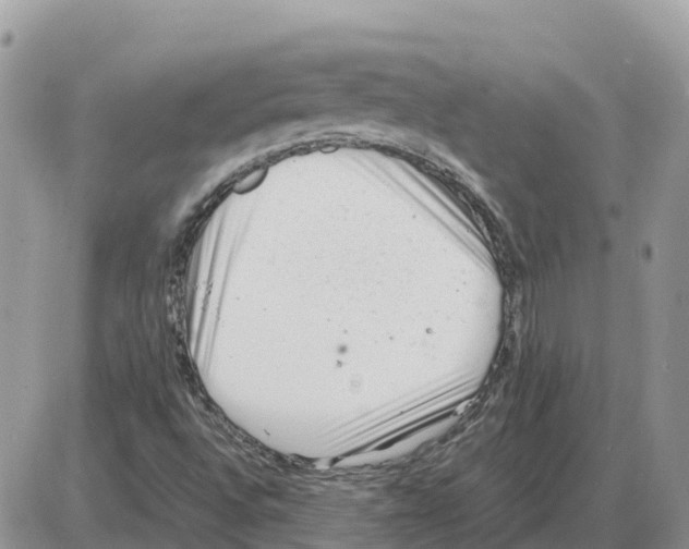 X0000086061496200704202048