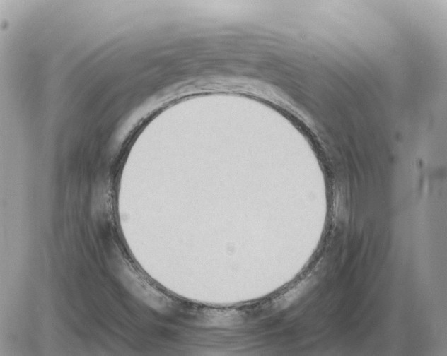 X0000086061498200704202048