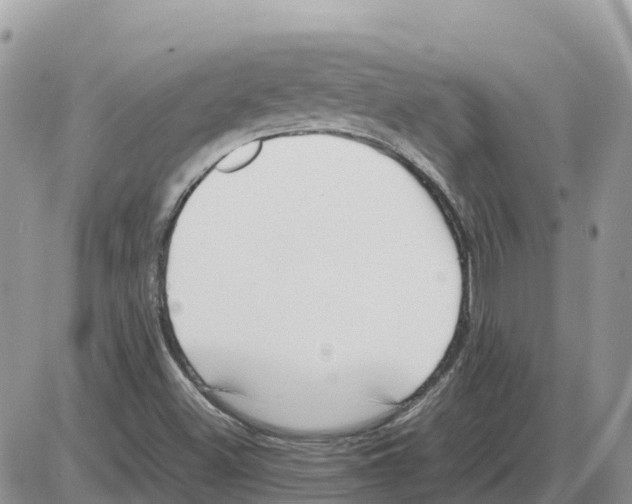 X0000086061500200704202048