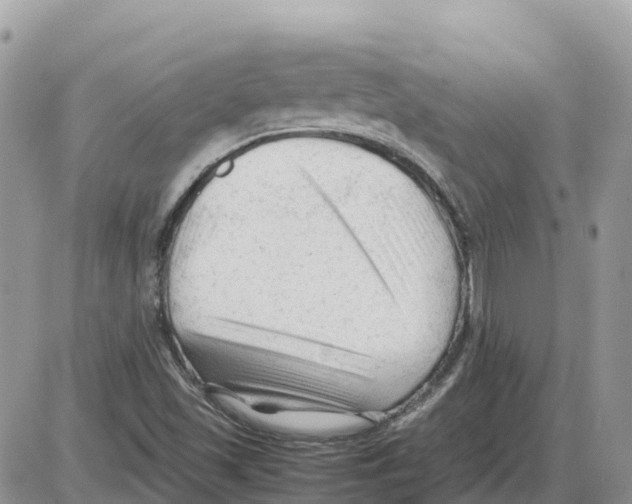 X0000086061501200704202048