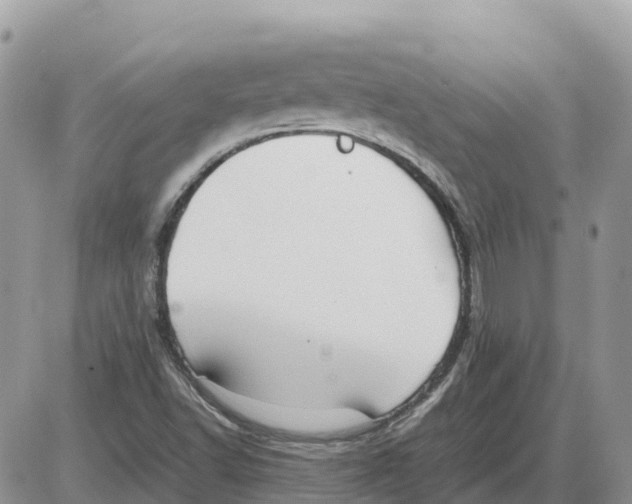 X0000086061502200704202048