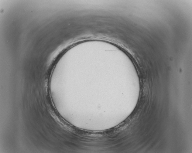 X0000086061503200704202048