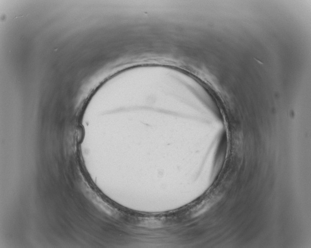 X0000086061504200704202048