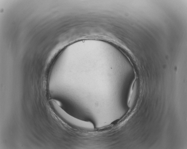 X0000086061506200704202048