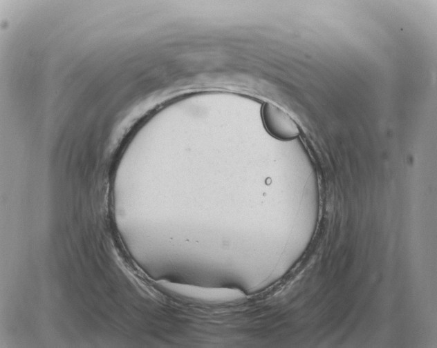 X0000086061507200704202048