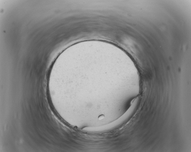 X0000086061508200704202048