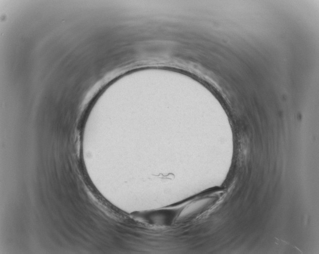 X0000086061509200704202048