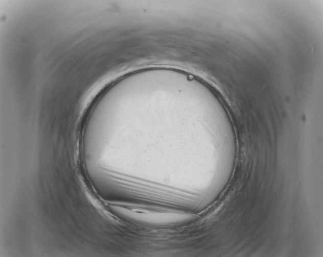 X0000086061511200704202048