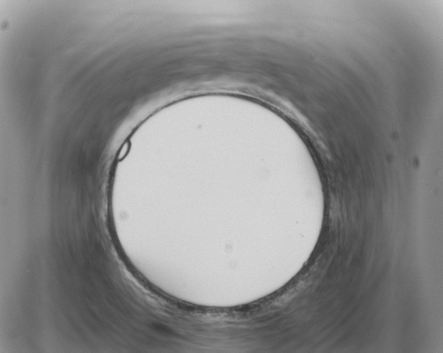 X0000086061512200704202048