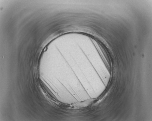 X0000086061513200704202048