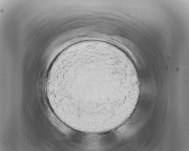 X0000086061514200704202048