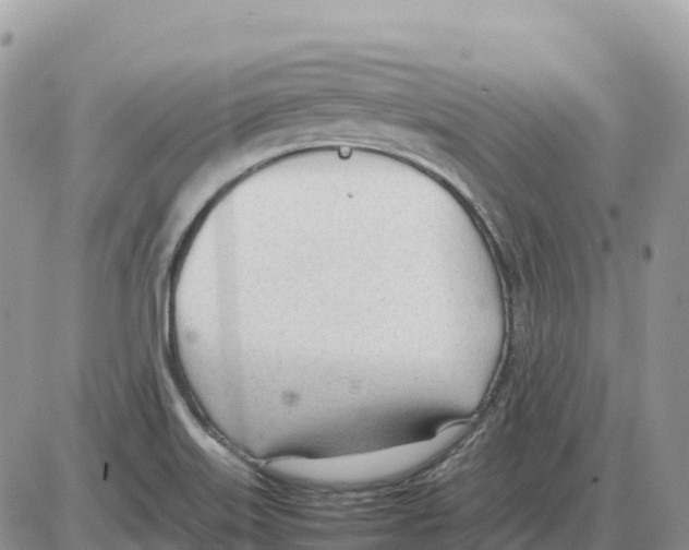 X0000086061515200704202048