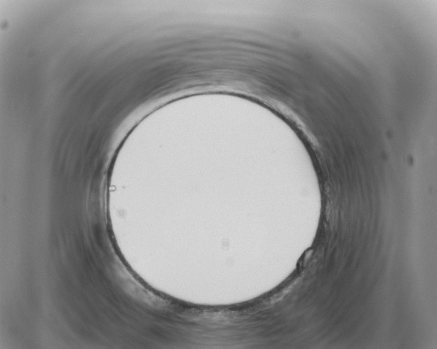 X0000086061516200704202048