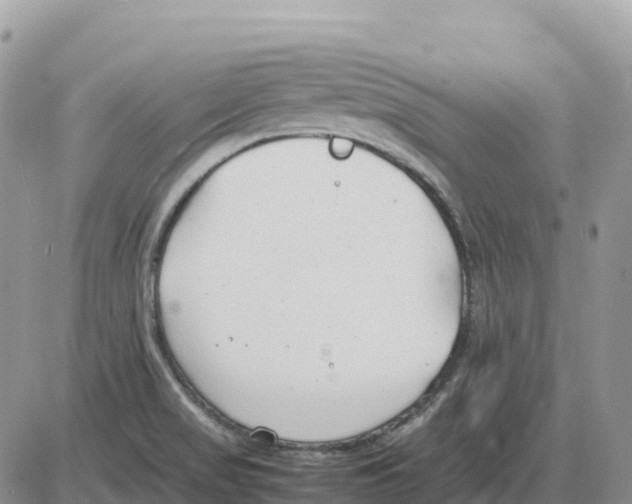 X0000086061517200704202048