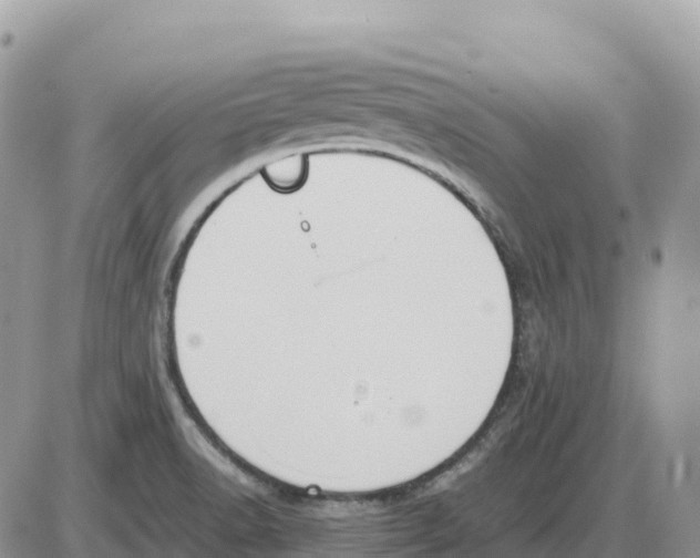 X0000086061518200704202048