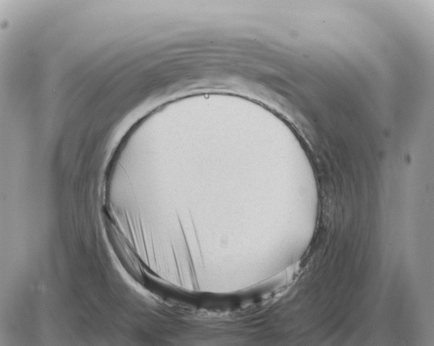 X0000086061519200704202048