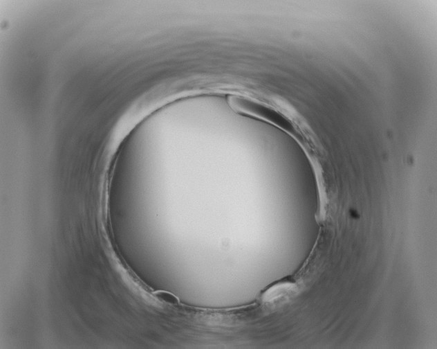 X0000086061520200704202048