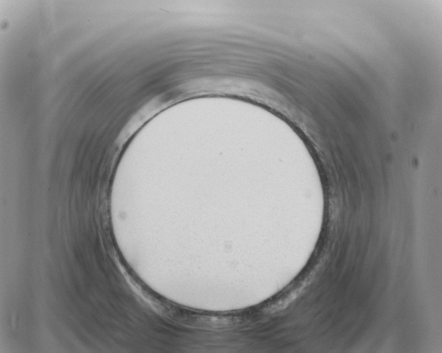 X0000086061521200704202048