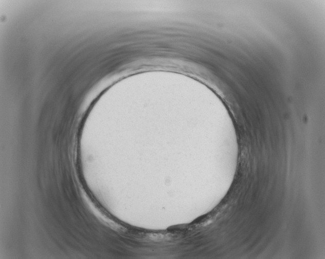 X0000086061523200704202048