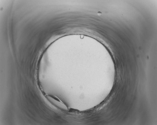 X0000086061525200704202048