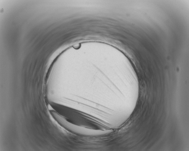 X0000086061527200704202048