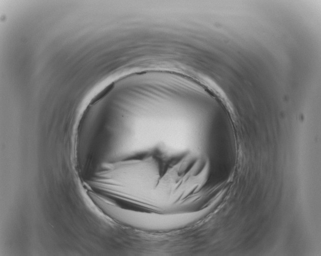 X0000086061528200704202048