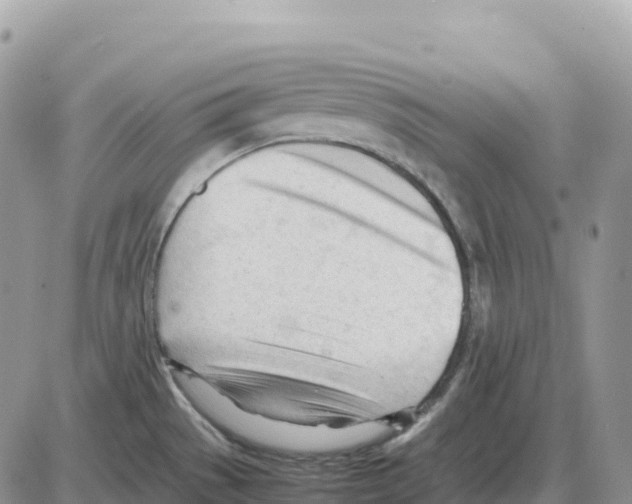 X0000086061529200704202048