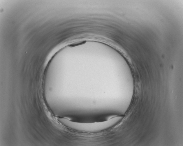 X0000086061530200704202048