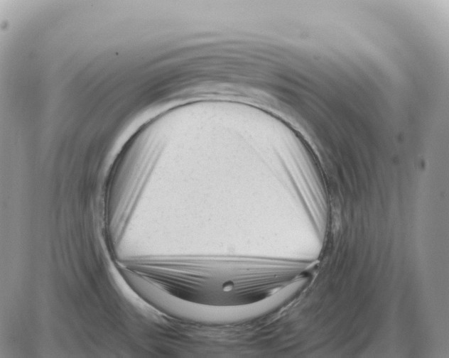 X0000086061531200704202048