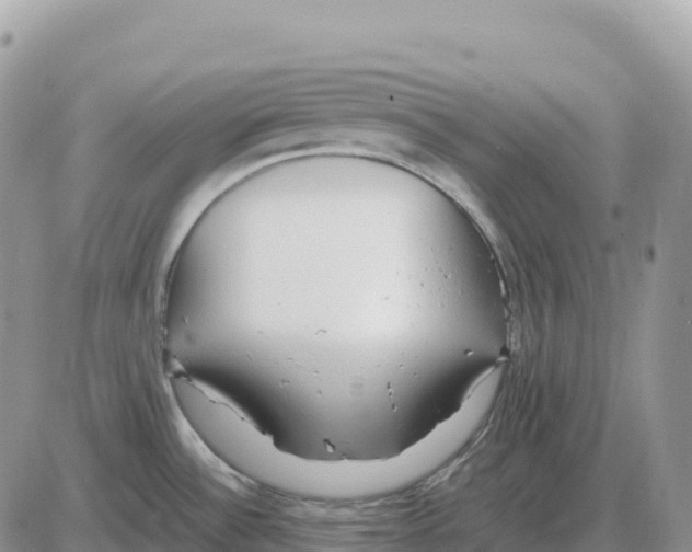 X0000086061532200704202048