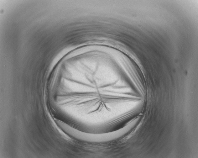 X0000086061533200704202048