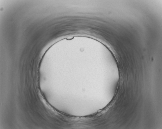 X0000086061534200704202048