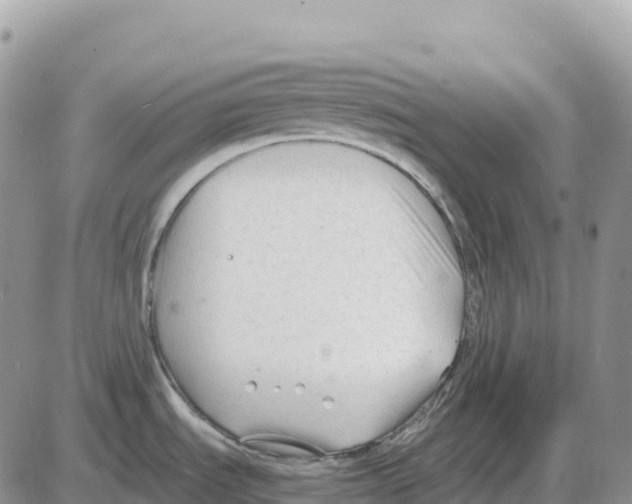 X0000086061535200704202048