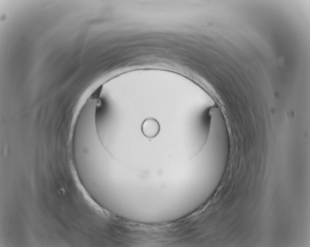 X0000086061536200704202048