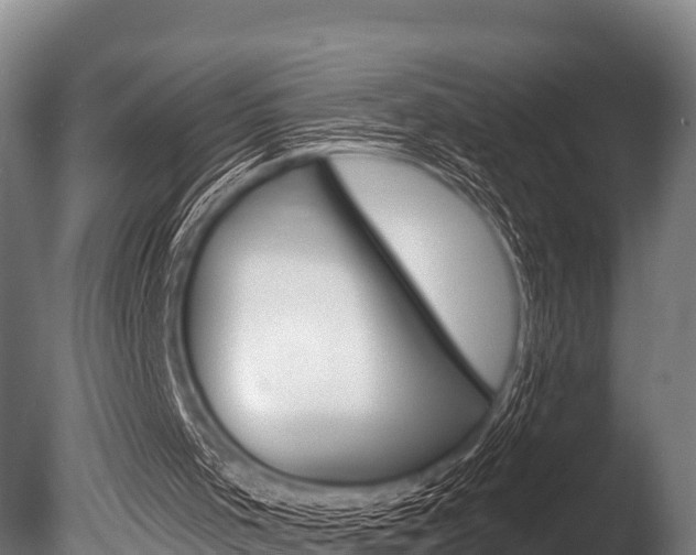 X0000086070001200703231026