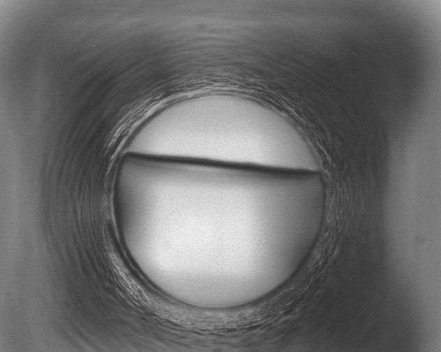 X0000086070002200703231026