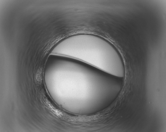 X0000086070009200703231026