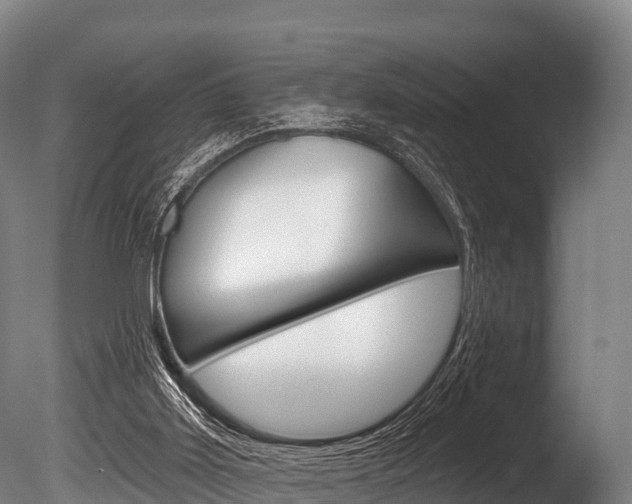 X0000086070011200703231026