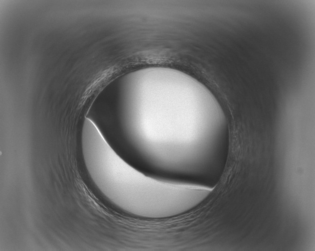 X0000086070019200703231025