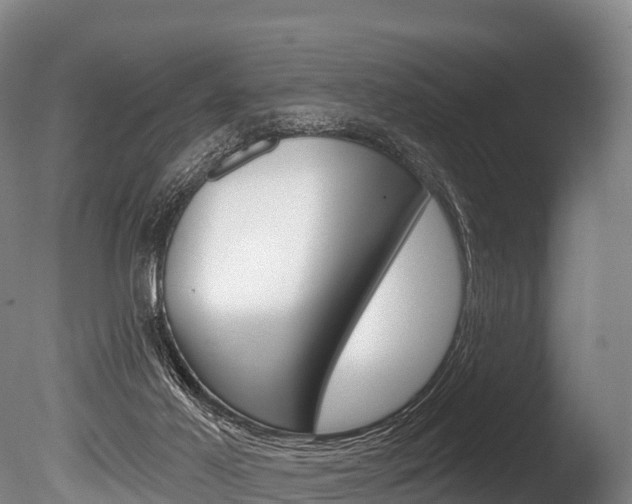 X0000086070021200703231025