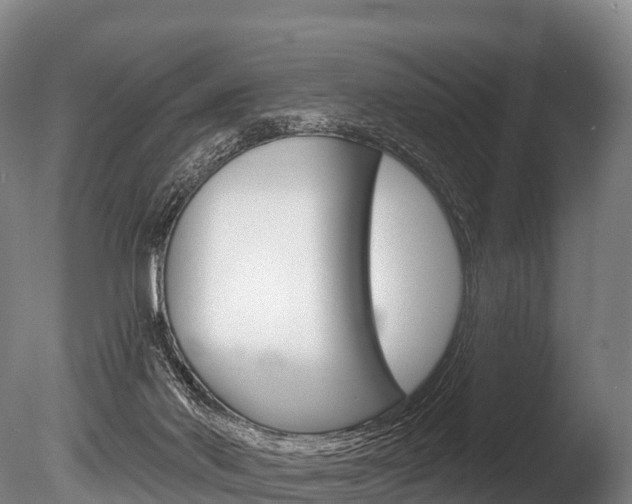 X0000086070022200703231025