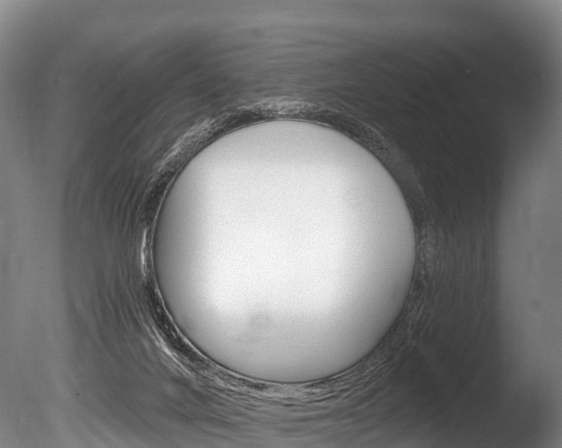 X0000086070024200703231025