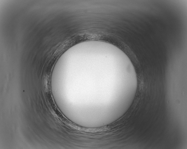 X0000086070026200703231025