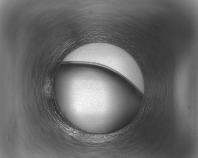 X0000086070037200703231025
