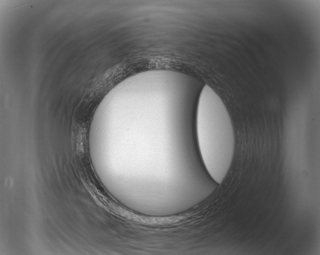 X0000086070038200703231025