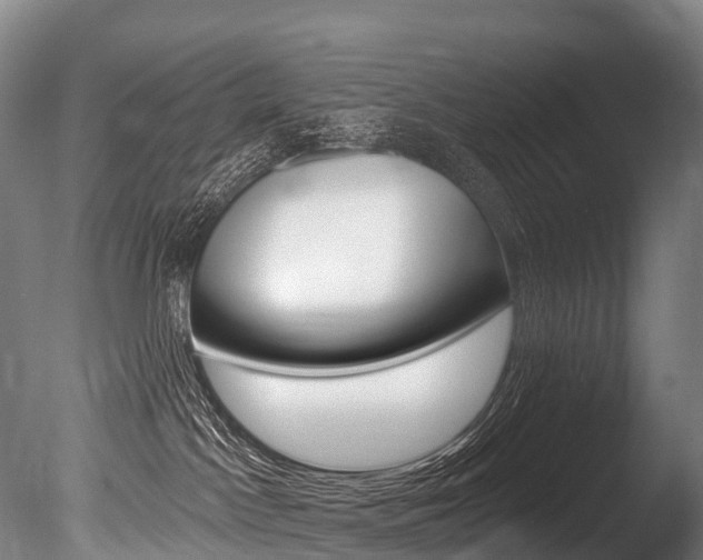 X0000086070045200703231025