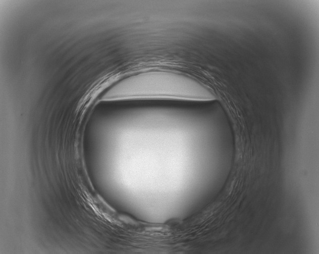 X0000086070050200703231024