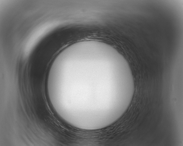X0000086070052200703231024
