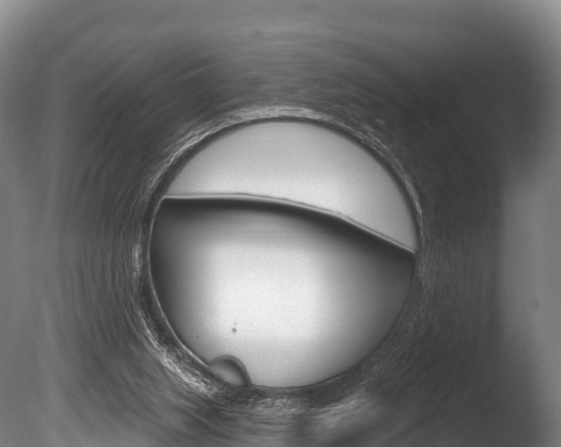 X0000086070063200703231024