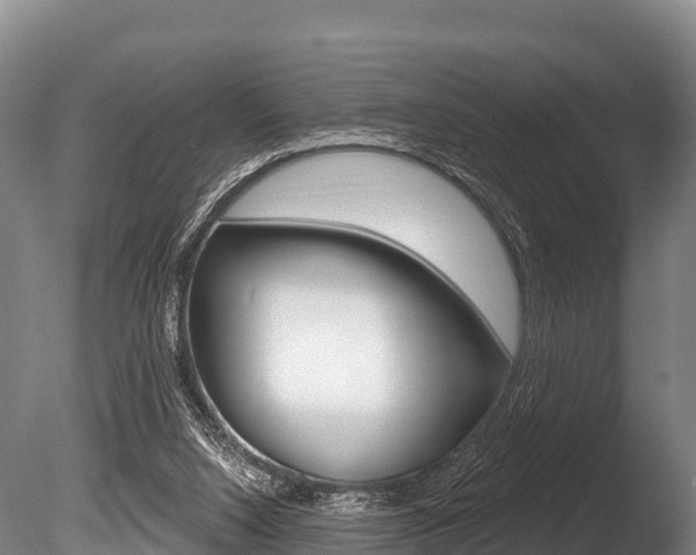 X0000086070064200703231024